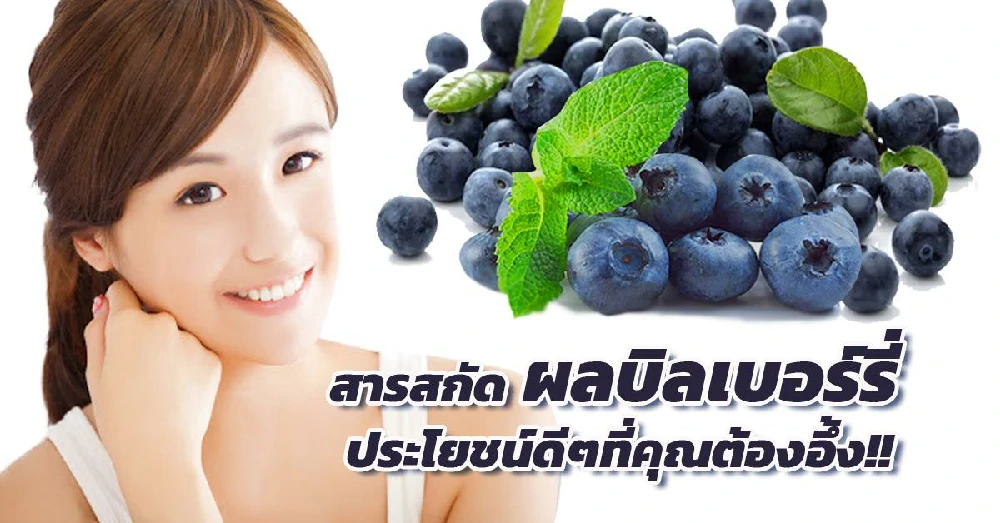 สารสกัดบิลเบอร์รี่ (Bilberry)